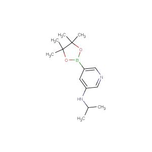 N-isopropyl-5-(4,4,5,5-tetramethyl-1,3,2-dioxaborolan-2-yl)pyridin-3-amine