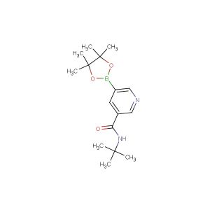 N-(tert-butyl)-5-(4,4,5,5-tetramethyl-1,3,2-dioxaborolan-2-yl)nicotinamide