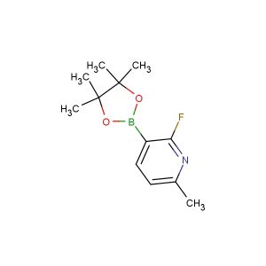 2-fluoro-6-methyl-3-(4,4,5,5-tetramethyl-1,3,2-dioxaborolan-2-yl)pyridine