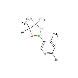 2-bromo-4-methyl-5-(4,4,5,5-tetramethyl-1,3,2-dioxaborolan-2-yl)pyridine