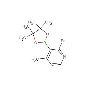 2-bromo-4-methyl-3-(4,4,5,5-tetramethyl-1,3,2-dioxaborolan-2-yl)pyridine