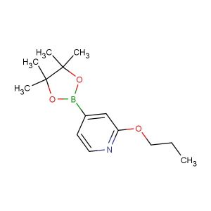 2-propoxy-4-(4,4,5,5-tetramethyl-1,3,2-dioxaborolan-2-yl)pyridine