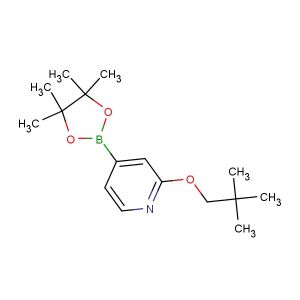 2-(neopentyloxy)-4-(4,4,5,5-tetramethyl-1,3,2-dioxaborolan-2-yl)pyridine