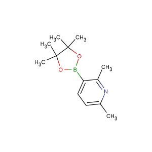 2,6-dimethyl-3-(4,4,5,5-tetramethyl-1,3,2-dioxaborolan-2-yl)pyridine