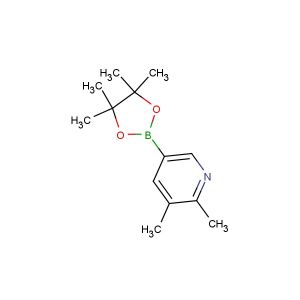 2,3-dimethyl-5-(4,4,5,5-tetramethyl-1,3,2-dioxaborolan-2-yl)pyridine