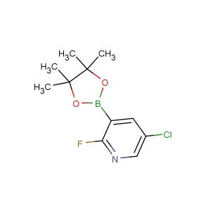 5-chloro-2-fluoro-3-(4,4,5,5-tetramethyl-1,3,2-dioxaborolan-2-yl)pyridine