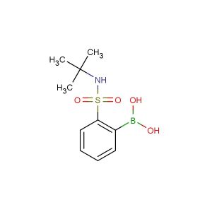 2-(tert-butylamino)sulfonylphenylboronic acid