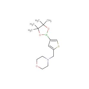 4-((4-(4,4,5,5-tetramethyl-1,3,2-dioxaborolan-2-yl)thiophen-2-yl)methyl)morpholine