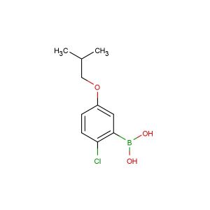 2-chloro-5-isobutoxyphenylboronic acid