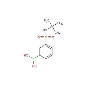 3-[N-(tert-butyl)sulfamoyl]phenylboronic acid