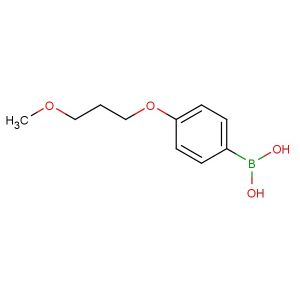 4-(3-methoxypropoxy)phenylboronic acid