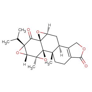 Triptonide(Synonyms: NSC 165677; PG 492)
