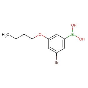 (3-bromo-5-butoxyphenyl)boronic acid