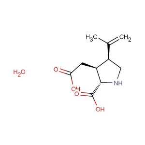 Kainic acid hydrate