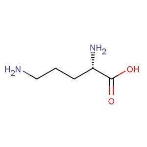 (S)-2,5-diaminopentanoic acid
