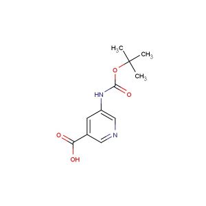 5-((tert-butoxycarbonyl)amino)nicotinic acid