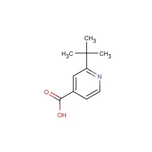 2-(tert-butyl)isonicotinic acid
