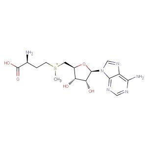 S-Adenosyl-L-methionine  (Synonyms: S-Adenosyl methionine; Ademetionine; AdoMet)