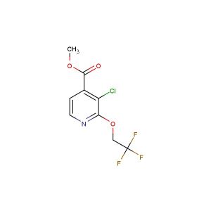 methyl 3-chloro-2-(2,2,2-trifluoroethoxy)isonicotinate