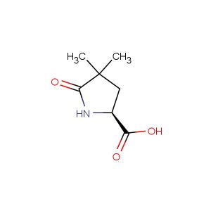 (S)-4,4-dimethyl-5-oxopyrrolidine-2-carboxylic acid