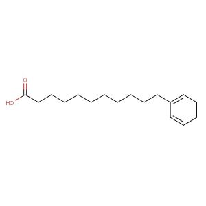 11-phenylundecanoic acid