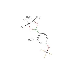 4,4,5,5-tetramethyl-2-(2-methyl-4-(trifluoromethoxy)phenyl)-1,3,2-dioxaborolane