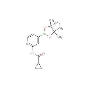 N-(4-(4,4,5,5-tetramethyl-1,3,2-dioxaborolan-2-yl)pyridin-2-yl)cyclopropanecarboxamide