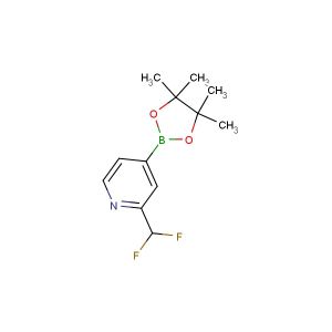 2-(difluoromethyl)-4-(4,4,5,5-tetramethyl-1,3,2-dioxaborolan-2-yl)pyridine