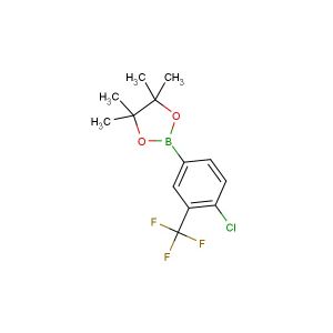 2-(4-chloro-3-(trifluoromethyl)phenyl)-4,4,5,5-tetramethyl-1,3,2-dioxaborolane