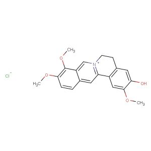 Jatrorrhizine chloride