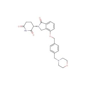 CC220; Iberdomide