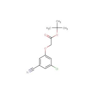 (3-chloro-5-cyano-phenoxy)-acetic acid tert-butyl ester
