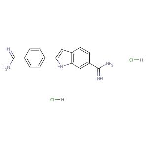 DAPI dihydrochloride  (Synonyms: 4',6-Diamidino-2-phenylindole dihydrochloride)