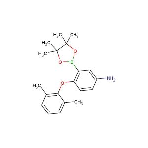4-(2,6-dimethylphenoxy)-3-(4,4,5,5-tetramethyl-1,3,2-dioxaborolan-2-yl)aniline