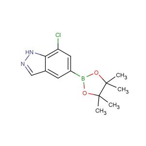 7-chloro-5-(4,4,5,5-tetramethyl-1,3,2-dioxaborolan-2-yl)-1H-indazole