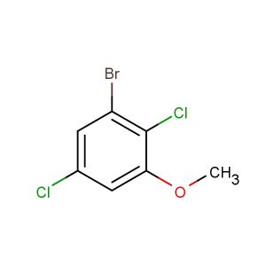1-bromo-2,5-dichloro-3-methoxybenzene
