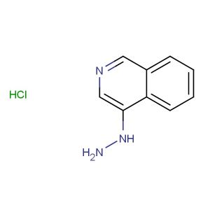 4-hydrazinylisoquinoline hydrochloride