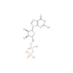 Guanosine 5'-diphosphate