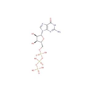 Guanosine-5'-triphosphate