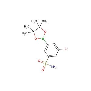 3-bromo-5-(4,4,5,5-tetramethyl-1,3,2-dioxaborolan-2-yl)benzenesulfonamide