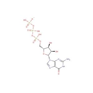 Guanosine-5'-triphosphate, Sodium salt