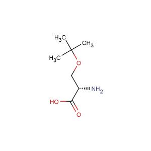 O-(tert-Butyl)-L-serine