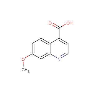 7-methoxyquinoline-4-carboxylic acid