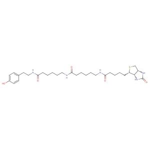 Biotin-Ahx-Ahx-Tyramide