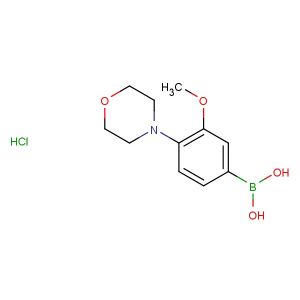 (3-methoxy-4-morpholinophenyl)boronic acid hydrochloride