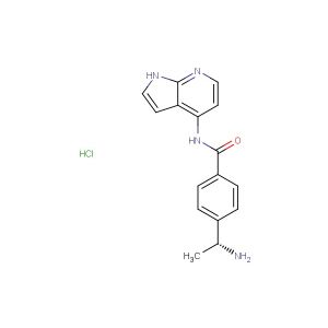 Y-33075 hydrochloride(Synonyms: Y-39983)