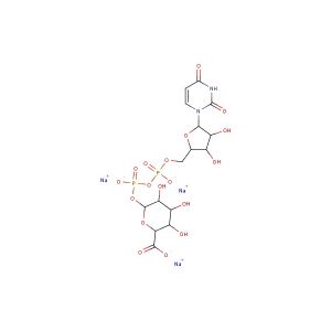 UDP-glucuronic acid trisodium(Synonyms: Uridine 5'-diphosphoglucuronic acid trisodium salt)