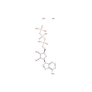 ATP disodium trihydrate(Synonyms: Adenosine-5'-triphosphate disodium trihydrate)