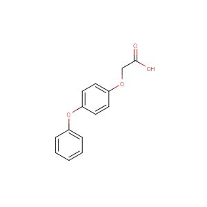 2-(4-Phenoxyphenoxy)acetic acid