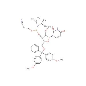 DMT-2'O-Methyl-rU Phosphoramidite(Synonyms: 2'-O-Me-U Phosphoramidite)